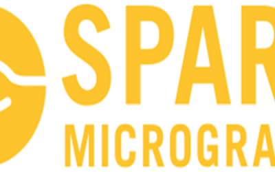 spark logo